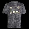 2023-2024 Manchester United Stone Roses Pre-Match Kit Football Jersey