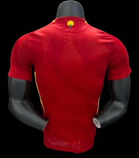2024 Spain Home Jersey Player Version EURO