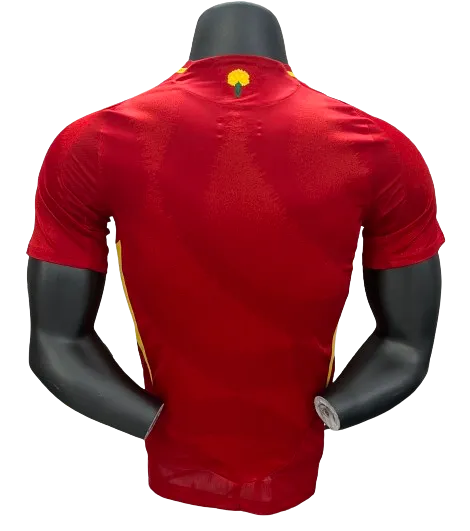 2024 Spain Home Jersey Player Version EURO