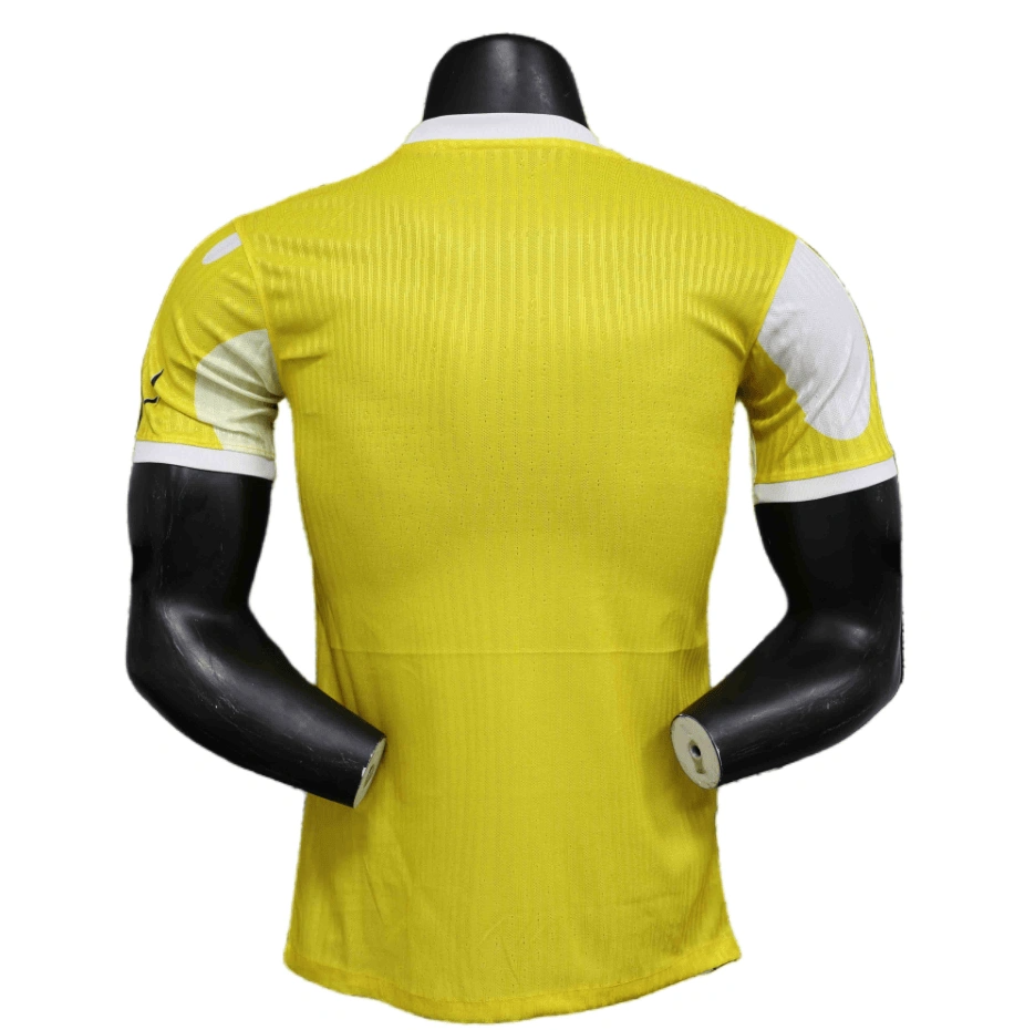 2024/2025 Player Brazil Special Edition Soccer Jersey