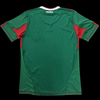 Mexico World Cup 2010 Retro Home Jersey