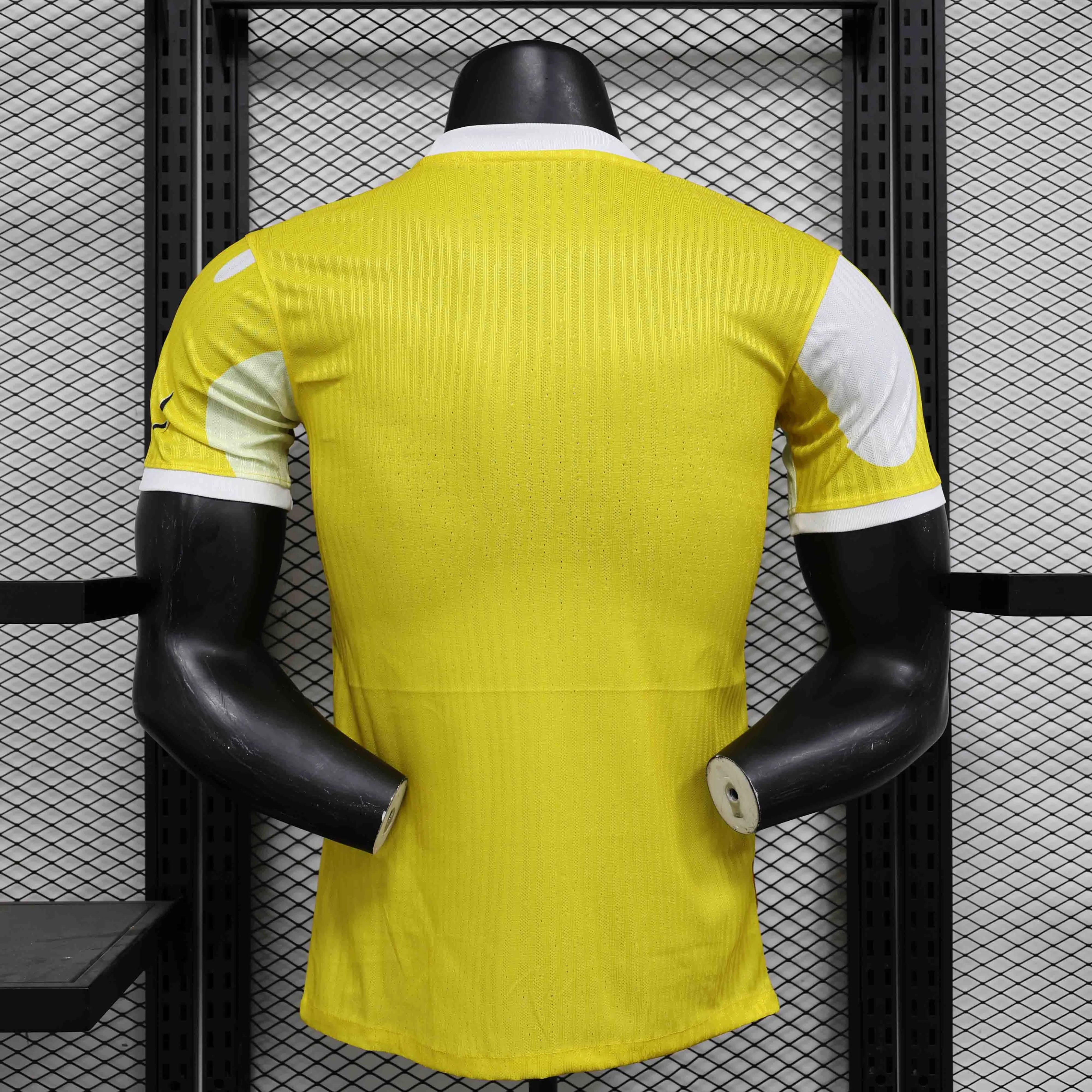 2024/2025 Player Brazil Special Edition Soccer Jersey