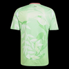 Italy Soccer Jersey Away Shirt 2025 - Women's Euro